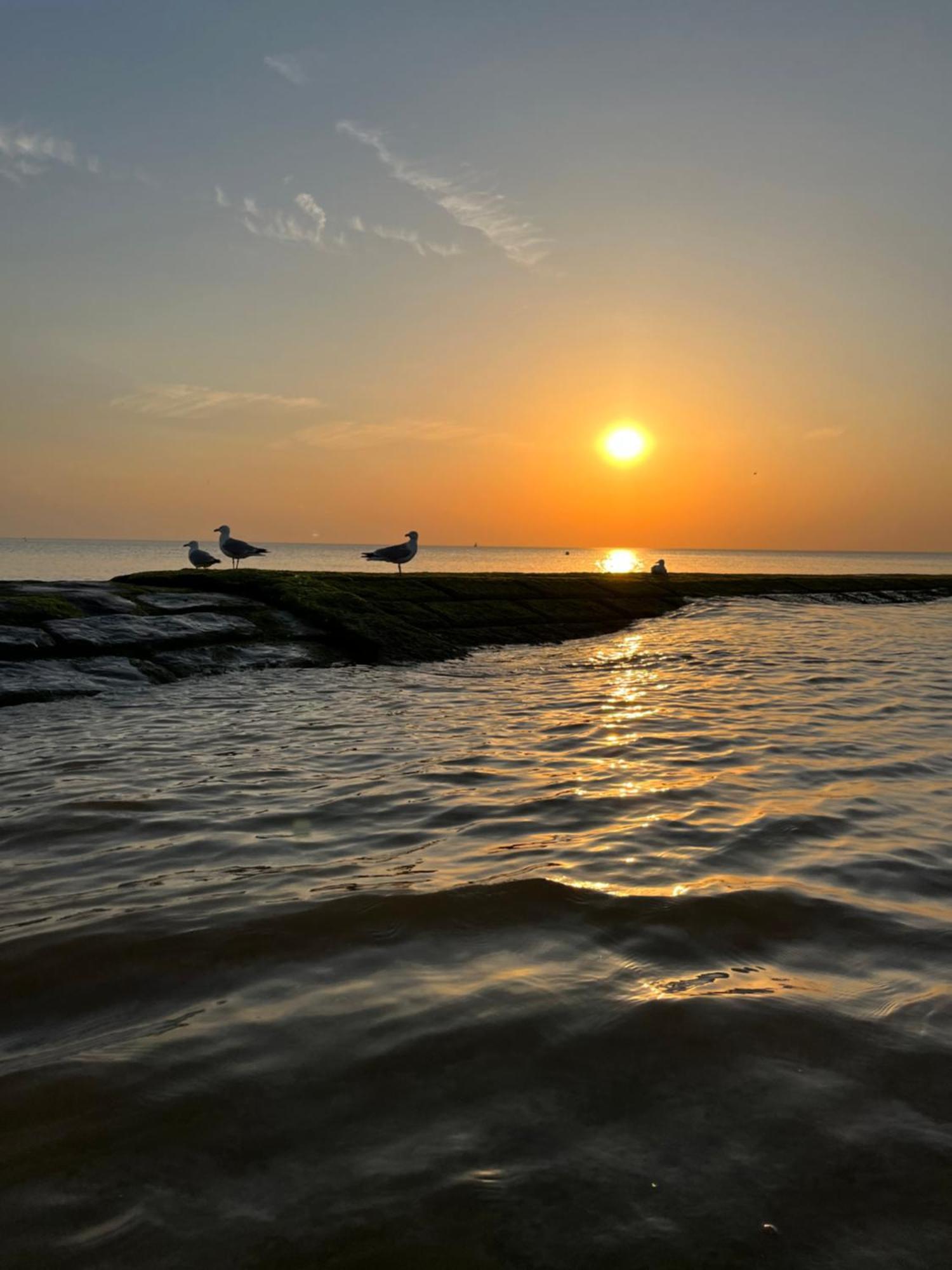 Beach Bungalow Green Villa Middelkerke Luaran gambar