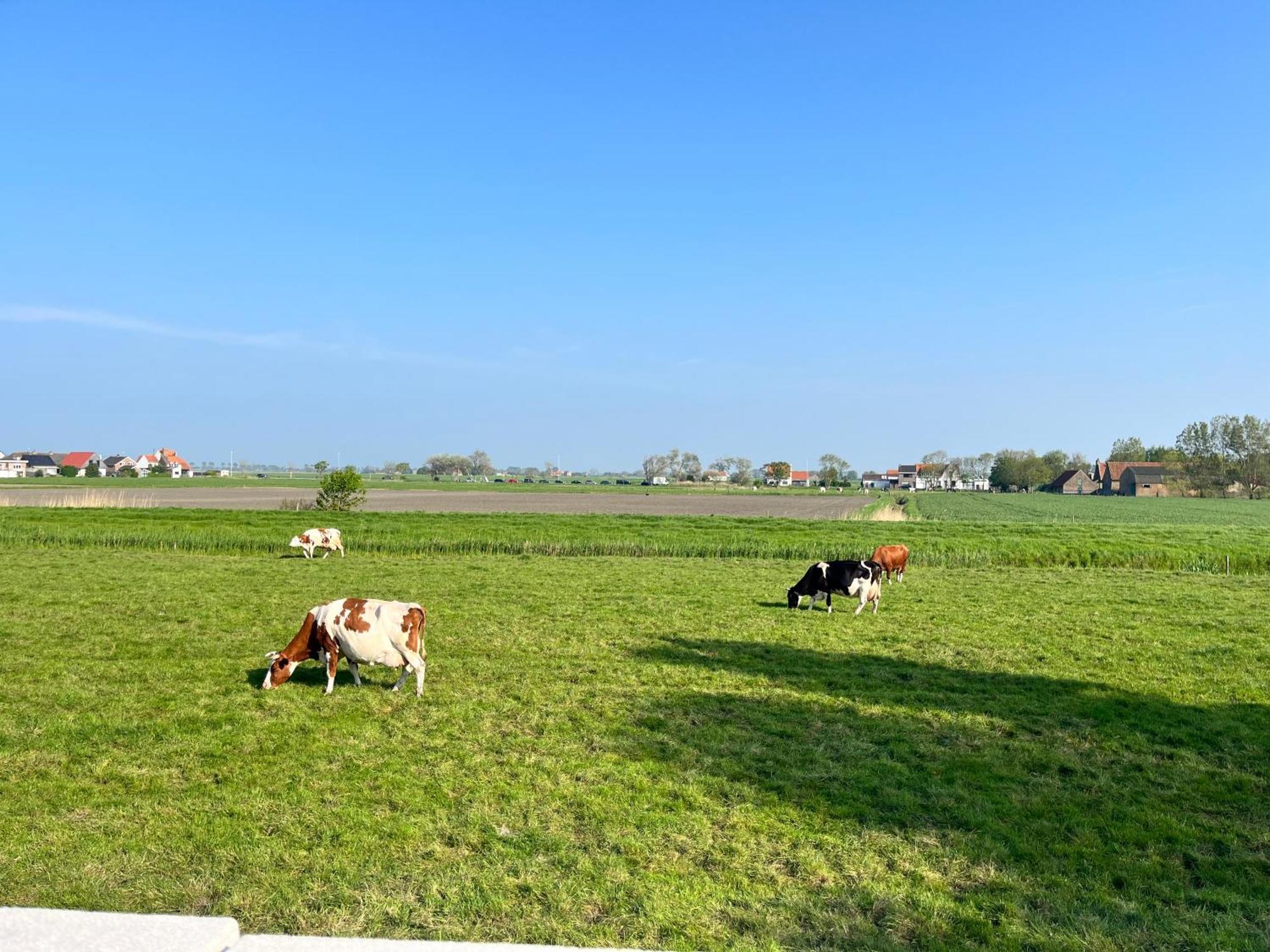 Beach Bungalow Green Villa Middelkerke Luaran gambar